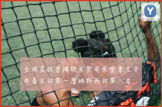 全明星投票揭晓东契奇荣登票王字母哥东部第一詹姆斯西部第八名
