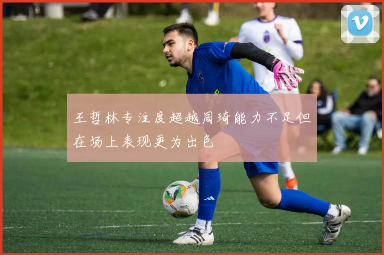 王哲林专注度超越周琦能力不足但在场上表现更为出色